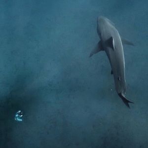 Meet your Posher, Jerri